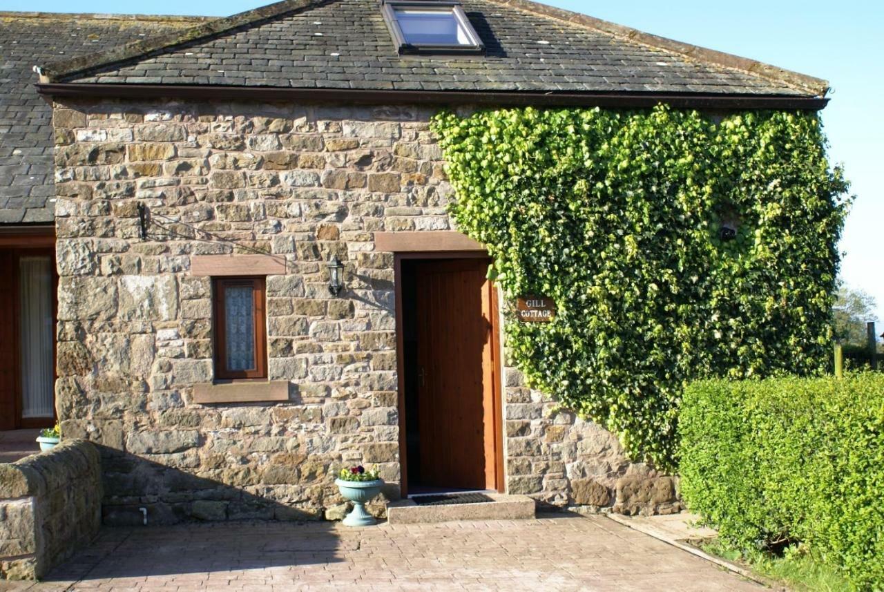 Gill Cottage Castle Carrock Extérieur photo